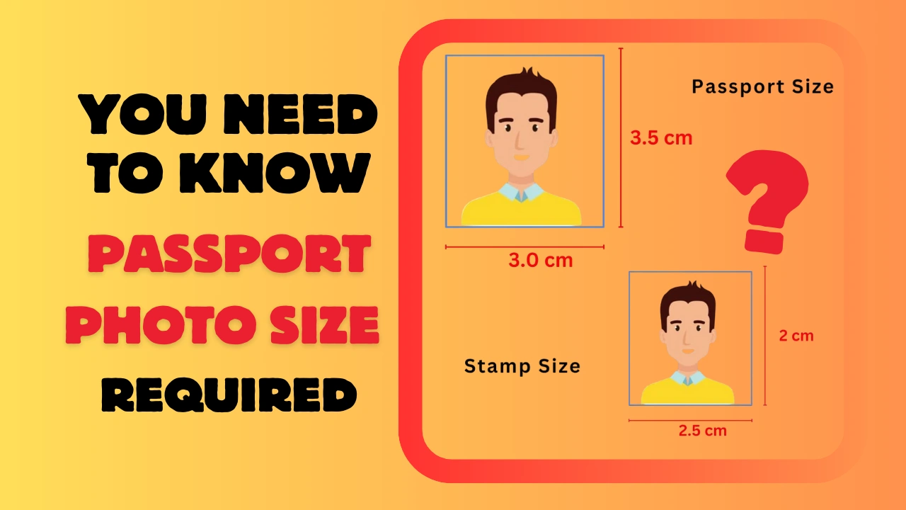 Every Tips You Need to Know:Passport Photo Size Maker Required