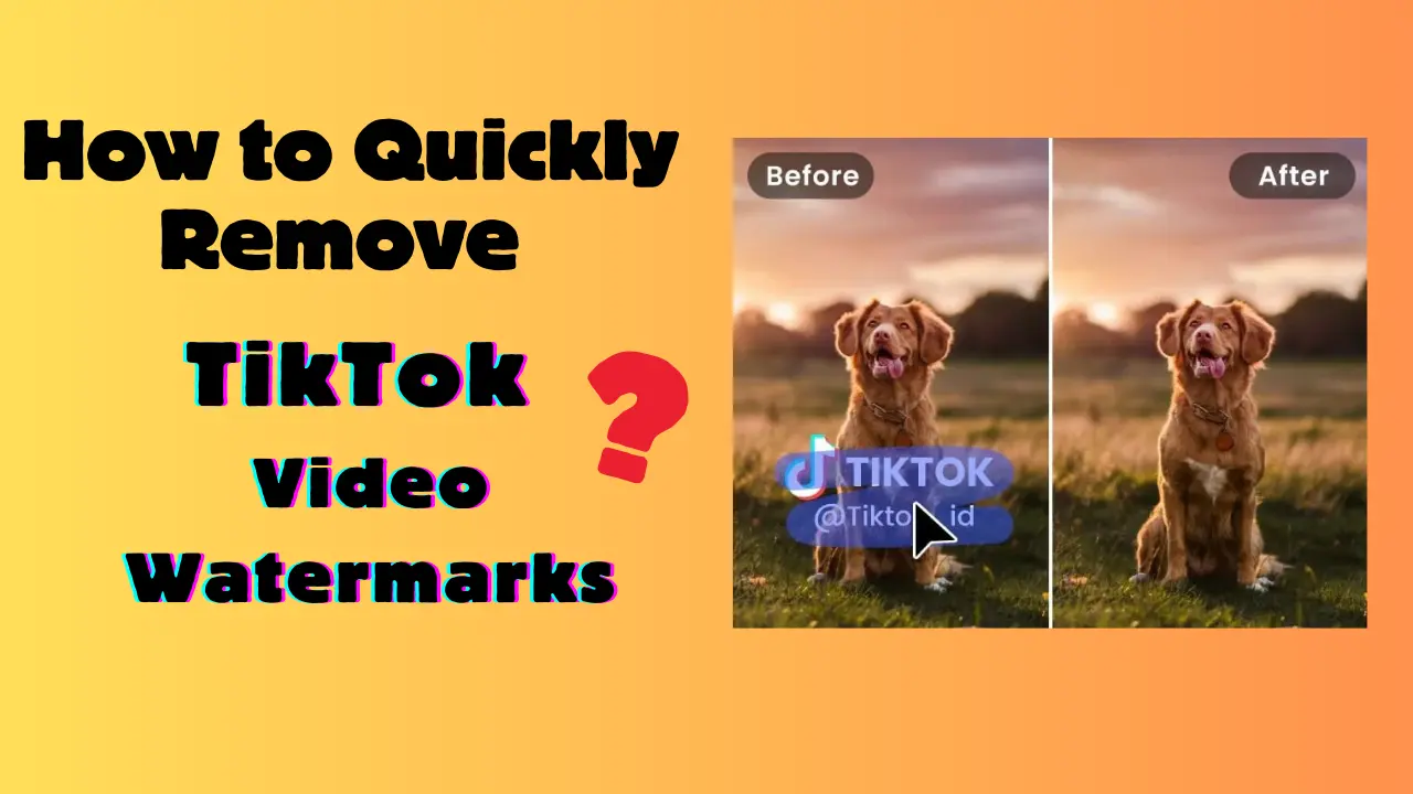 How to Remove TikTok Video Watermarks Quickly(100% Worked)